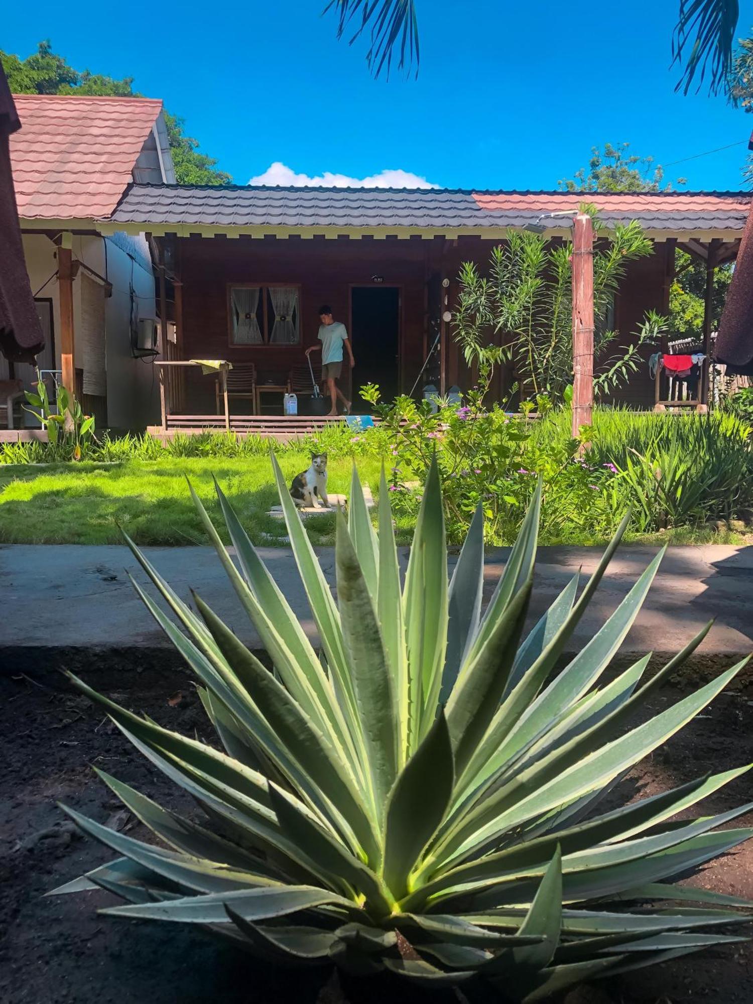 Leaf Coco Bungalow Gili Air Exterior foto